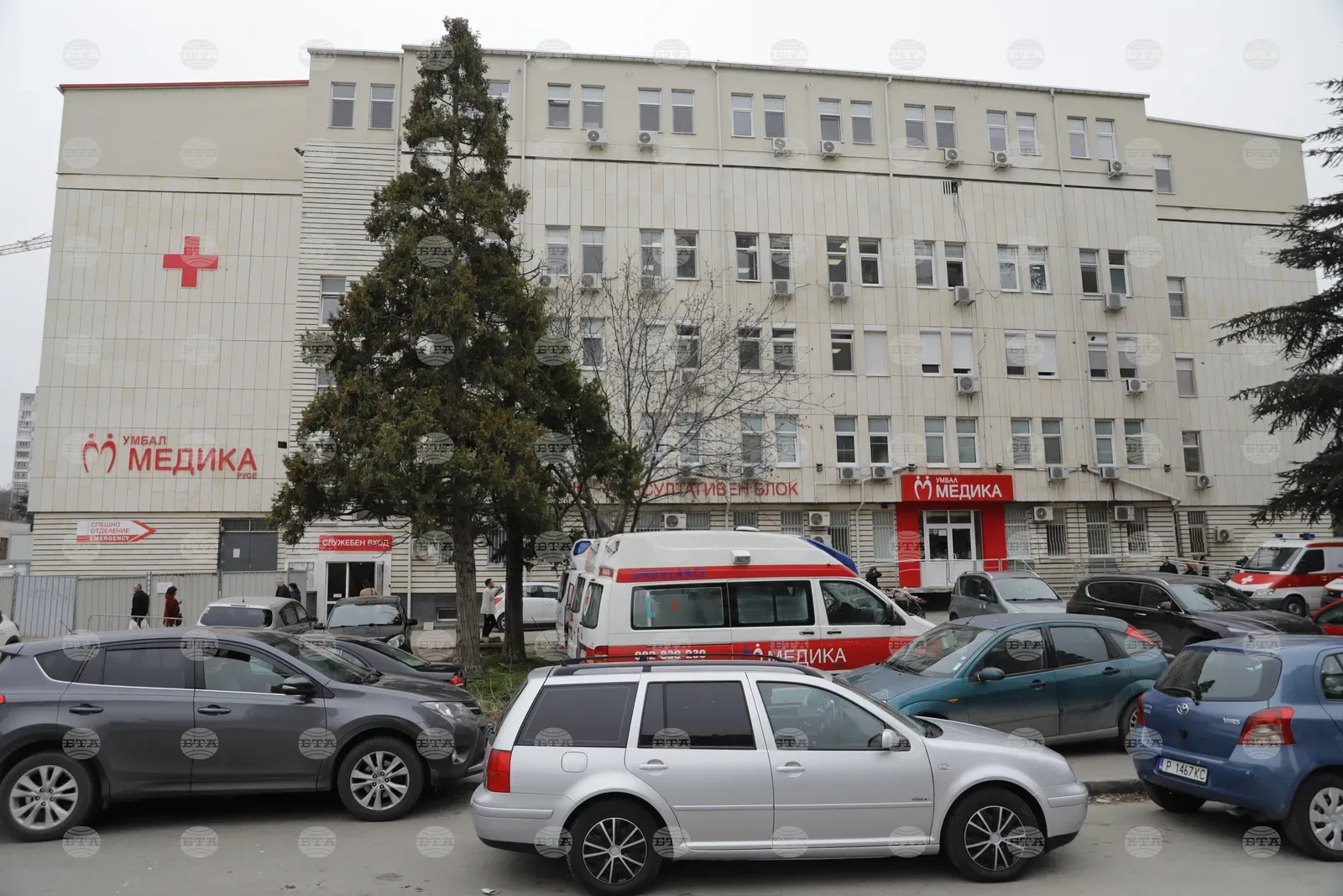Над 35 души потърсиха помощ след ухапване от кърлеж в Русе