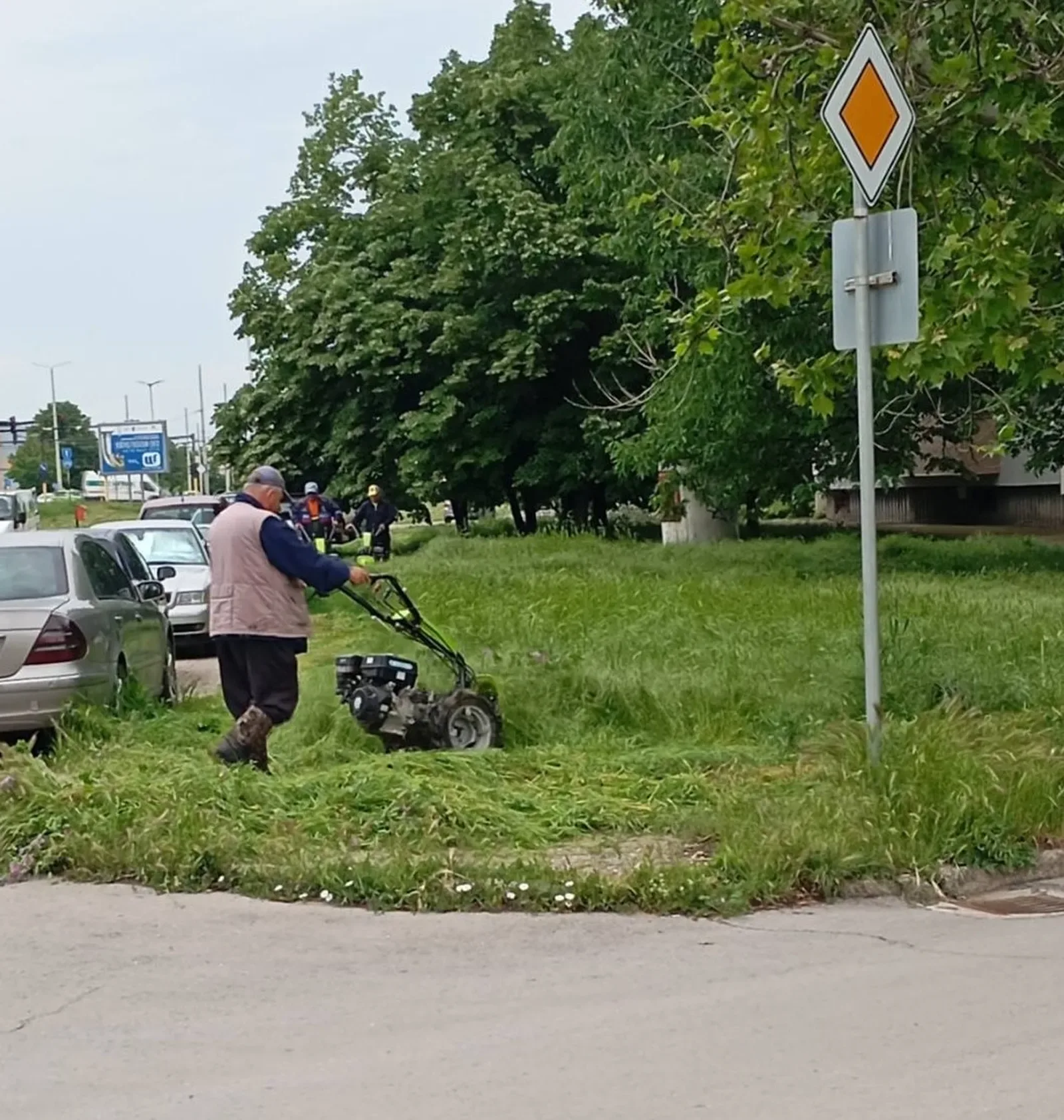 Общинските екипи в Русе продължават косенето на тревните площи