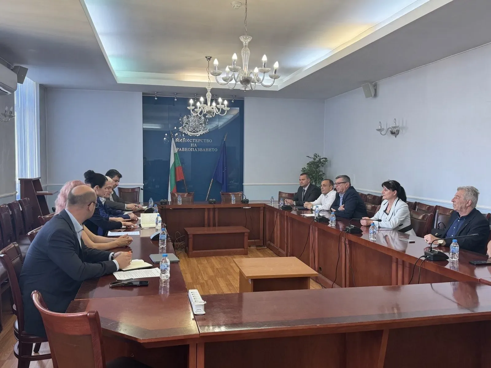 Русе и дунавските общини поискаха устойчиви мерки срещу комарите
