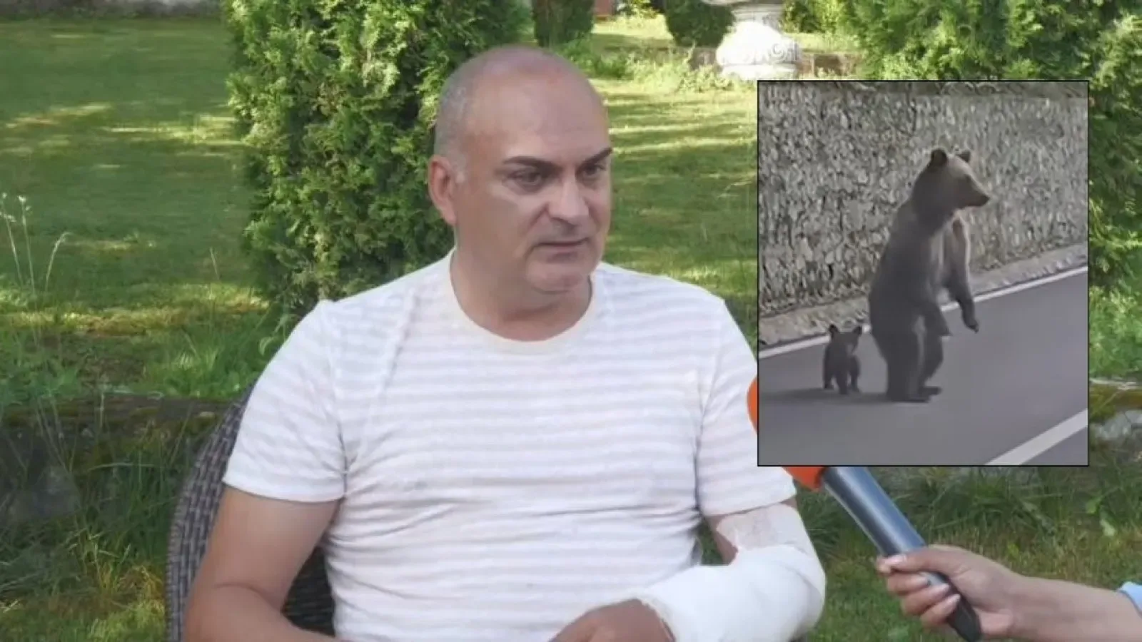 Българин, нападнат от мечка в Румъния, разказа за инцидента