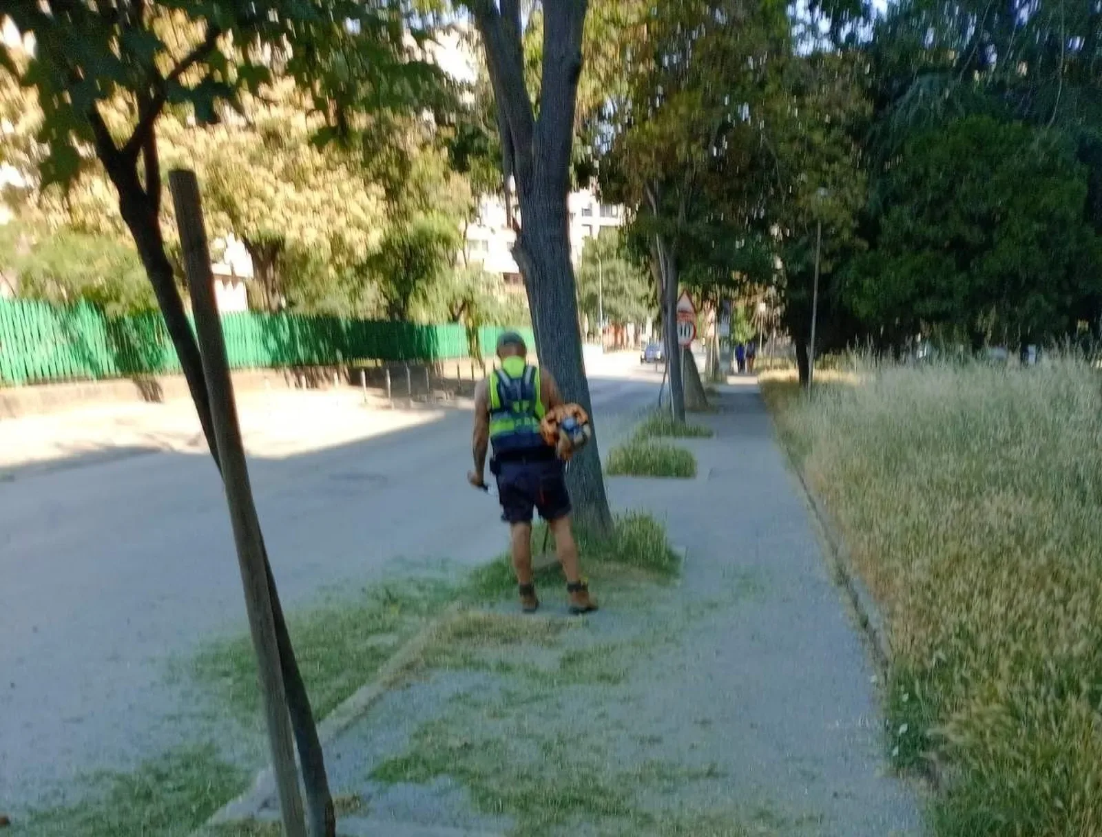 Косенето на тревни площи в Русе продължава на ключови места