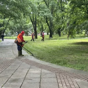 Косенето на тревните площи в Русе продължава по ключови булеварди и квартали