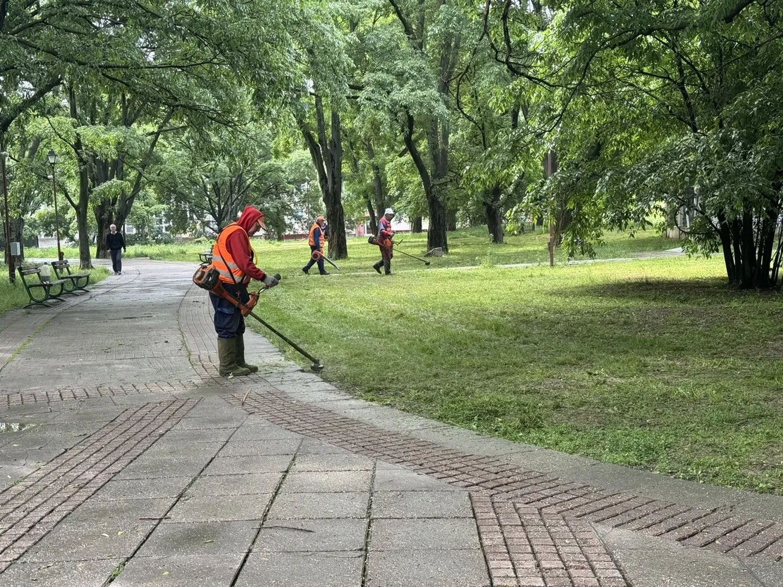 Косенето на тревните площи в Русе продължава по ключови булеварди и квартали