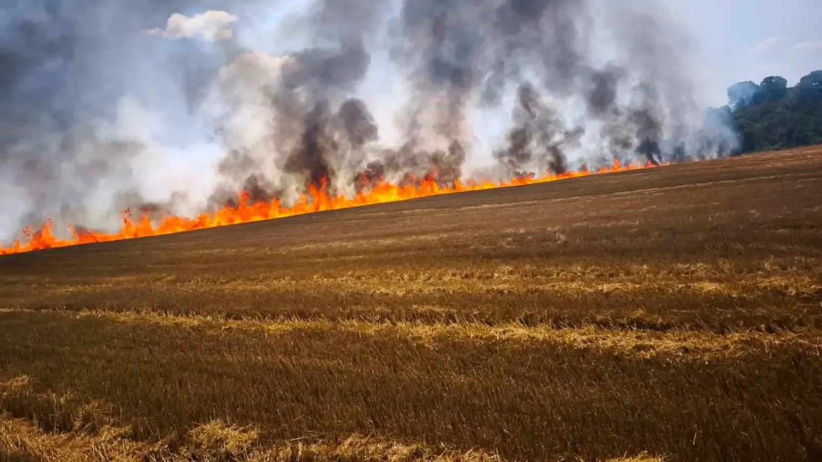 Голям пожар край Стара Загора застраши вилна зона