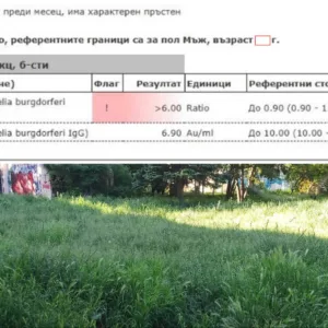 Кърлеж върху тревна растителност - риск от ухапвания през лятото