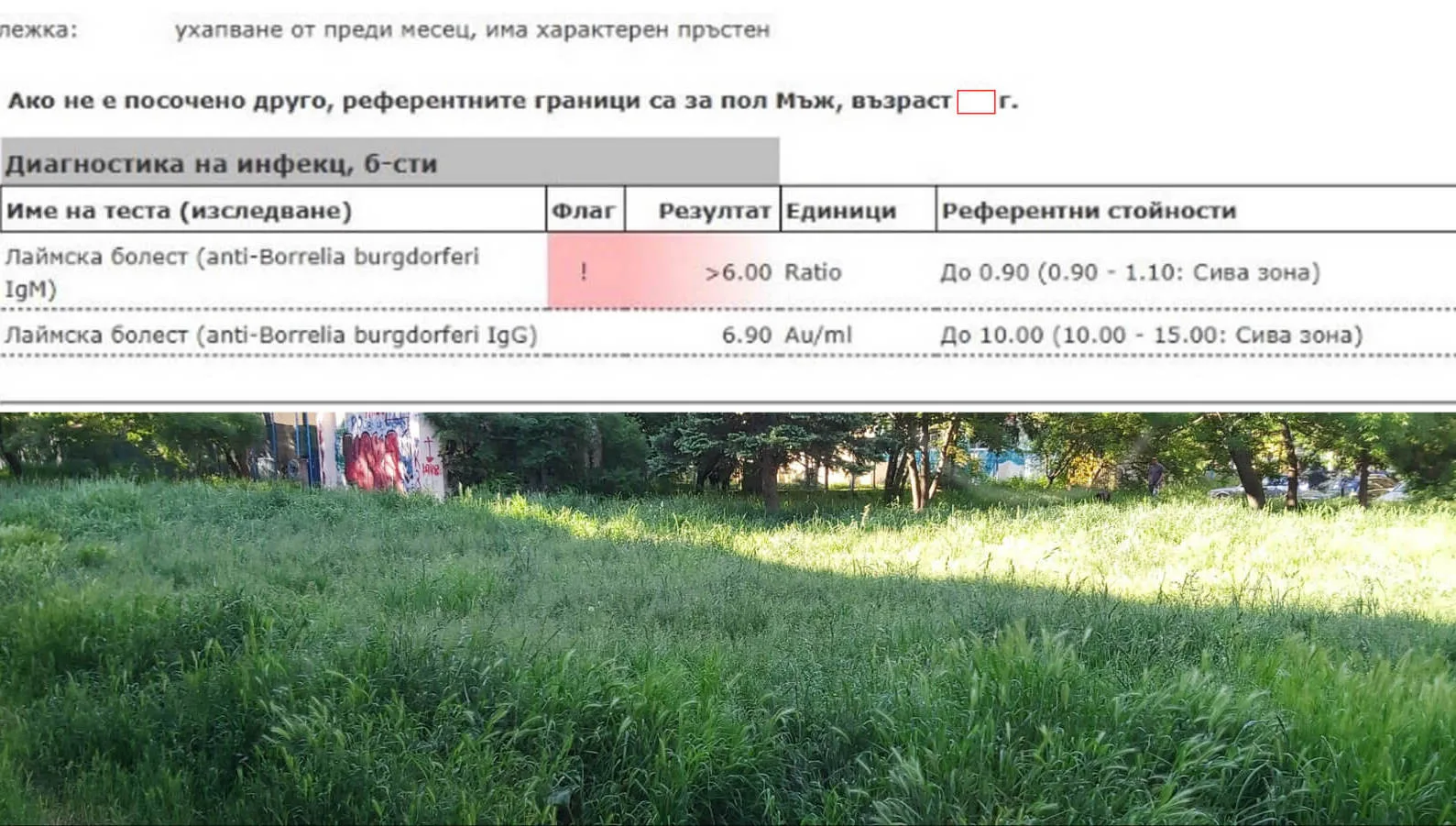 Кърлеж върху тревна растителност - риск от ухапвания през лятото