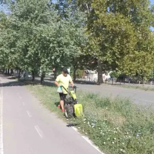 Косенето в Русе продължава до 24 юли