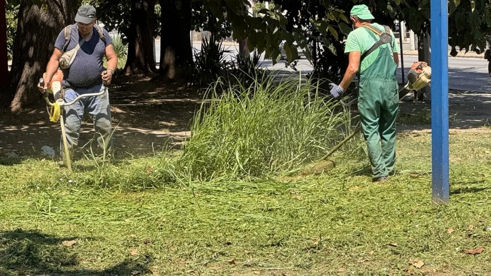 Косенето в Русе продължава в паркове, булеварди и квартали