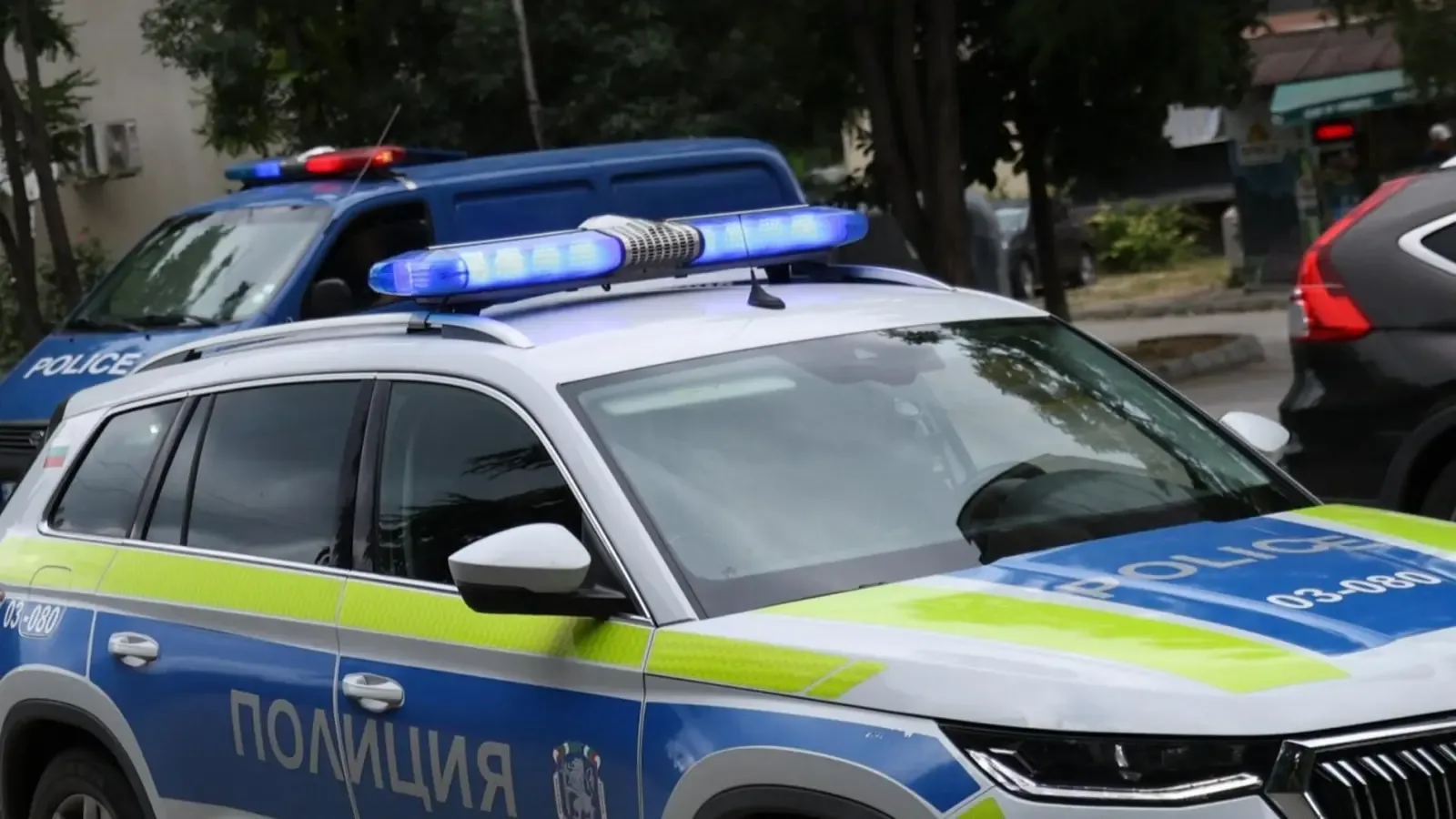 Осем задържани след акция на сватба в Гроздьово