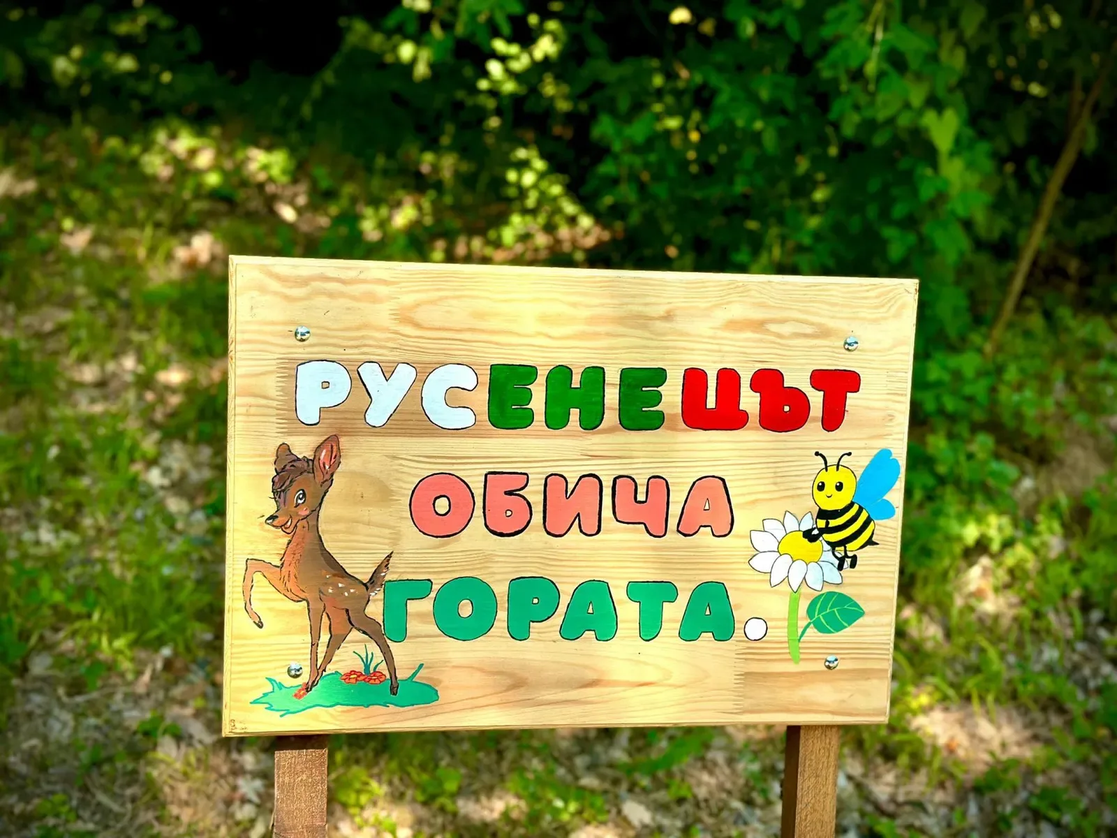 Ученици в Русе поставиха еко табелки в Лесопарк "Липник"