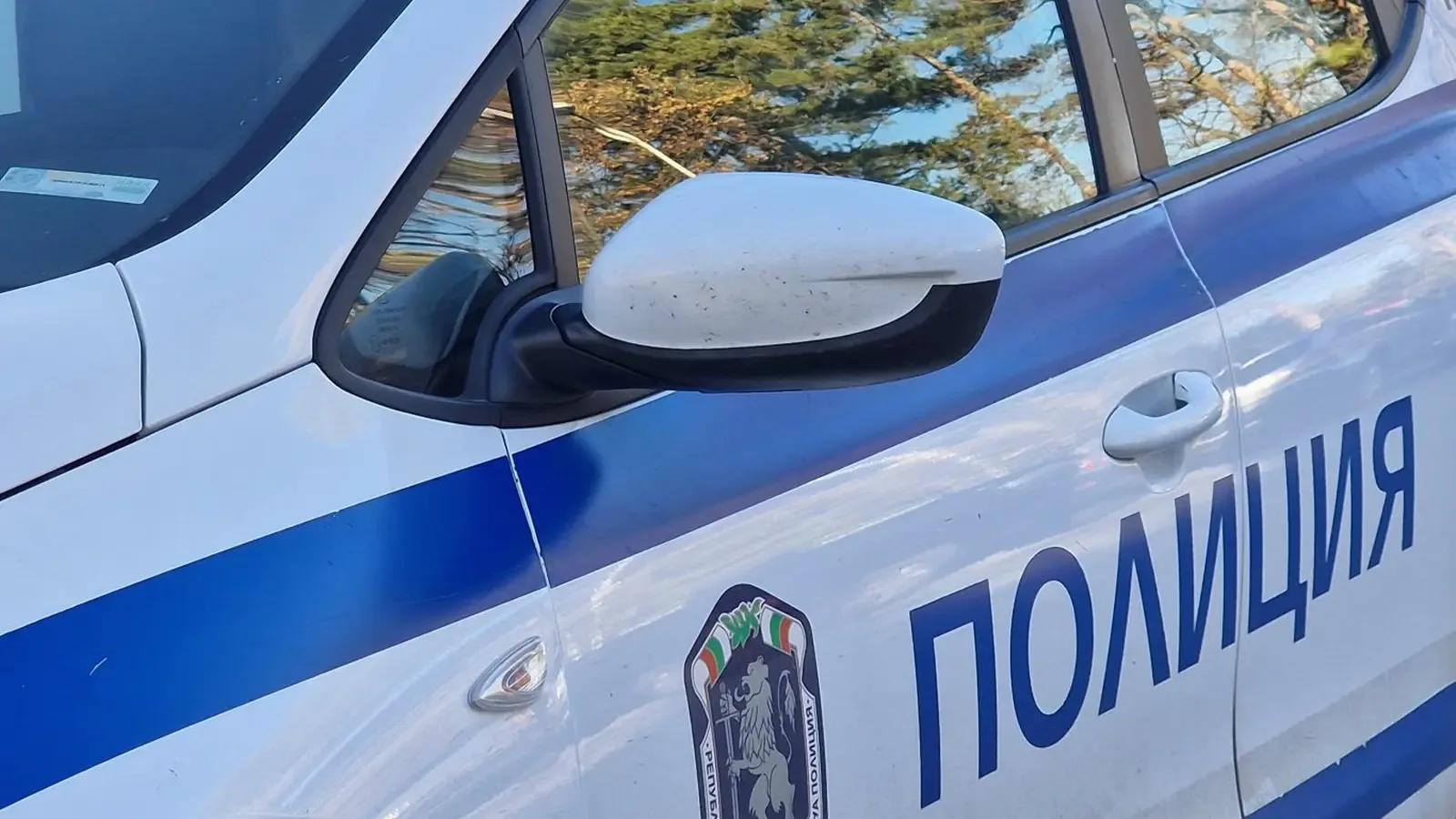 Диво прасе предизвика катастрофа край Бургас и затвори пътя