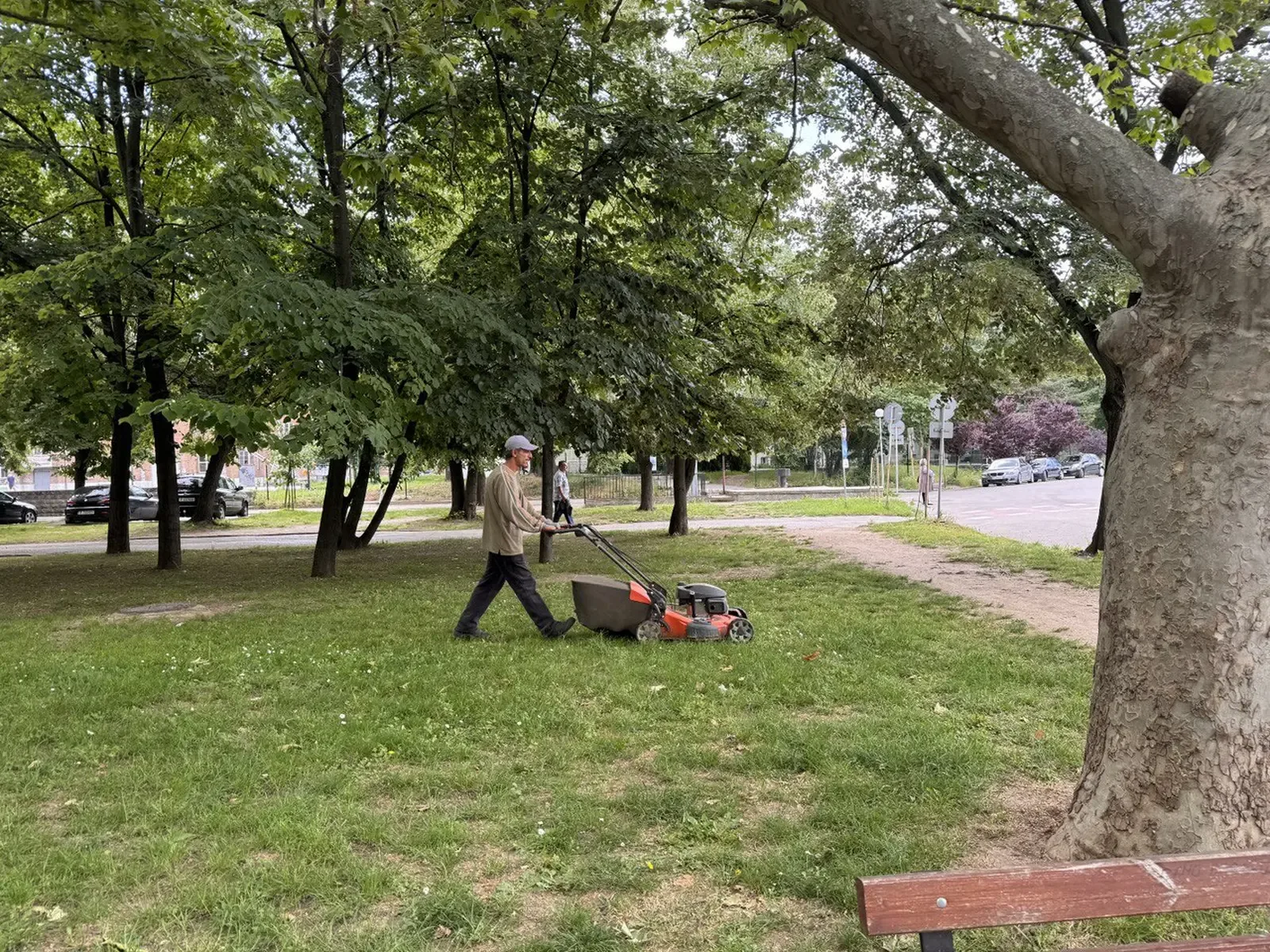 Косенето в Русе продължава до 28 август