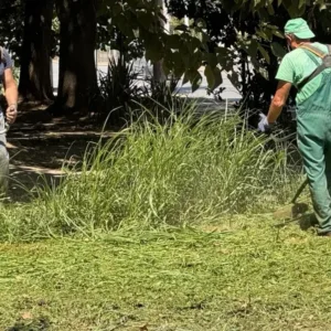 Косенето в Русе продължава до 4 септември