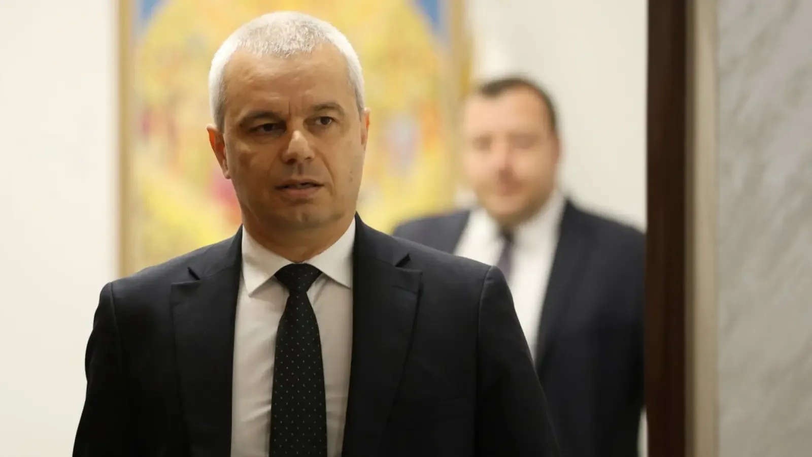 Костадинов: Идеята за кеш в Конституцията е технически невъзможна