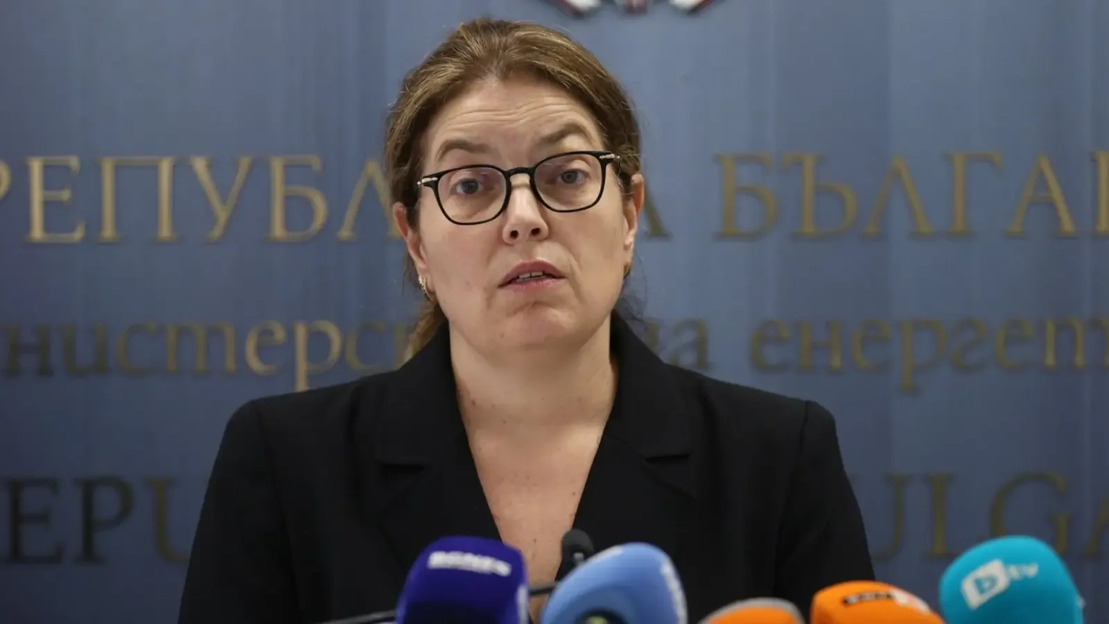 Край АЕЦ "Козлодуй" ще изградят 300-метрова дига заради ниския Дунав