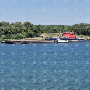 Ниското ниво на Дунав превърна пресъхнал ръкав край Русе в алея
