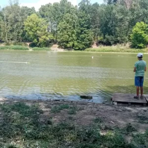 Русе приема Европейското първенство по корабомоделен спорт