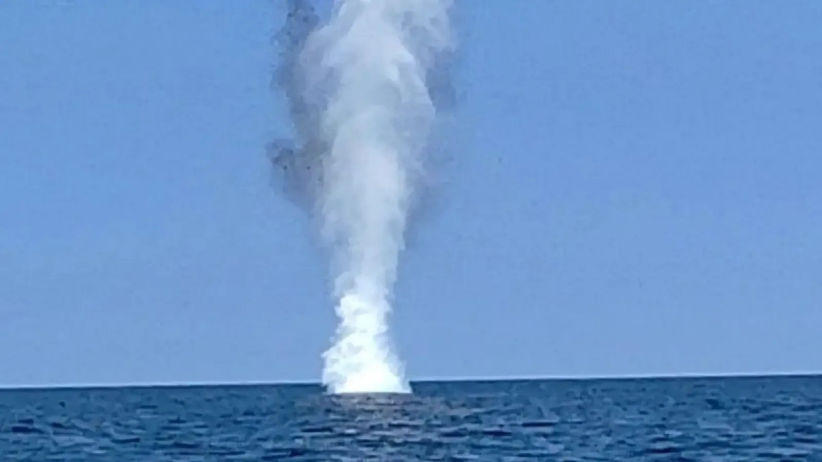 ВМС обезвредиха два дрона и дрейфащ обект край брега