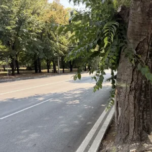 Временно затварят две платна на бул. "Съединение" в Русе