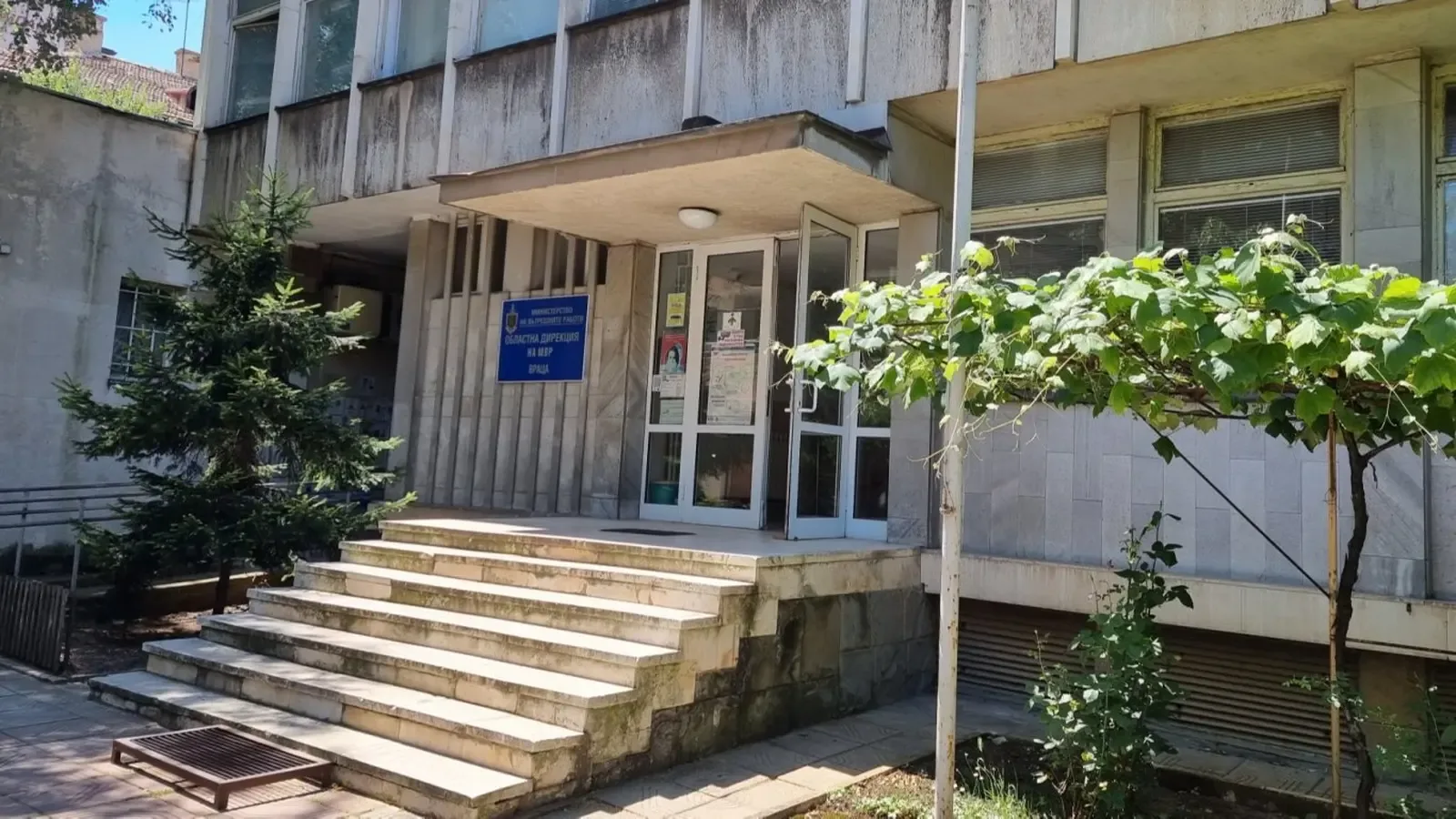 Четири кучета нахапаха 7-годишно дете във Враца