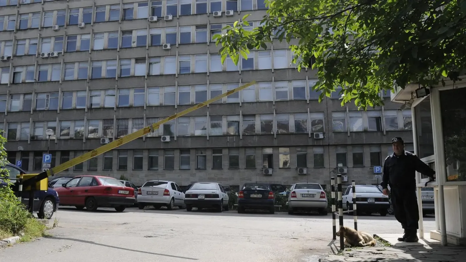 ДАНС започва преструктуриране и орязва ръководни звена