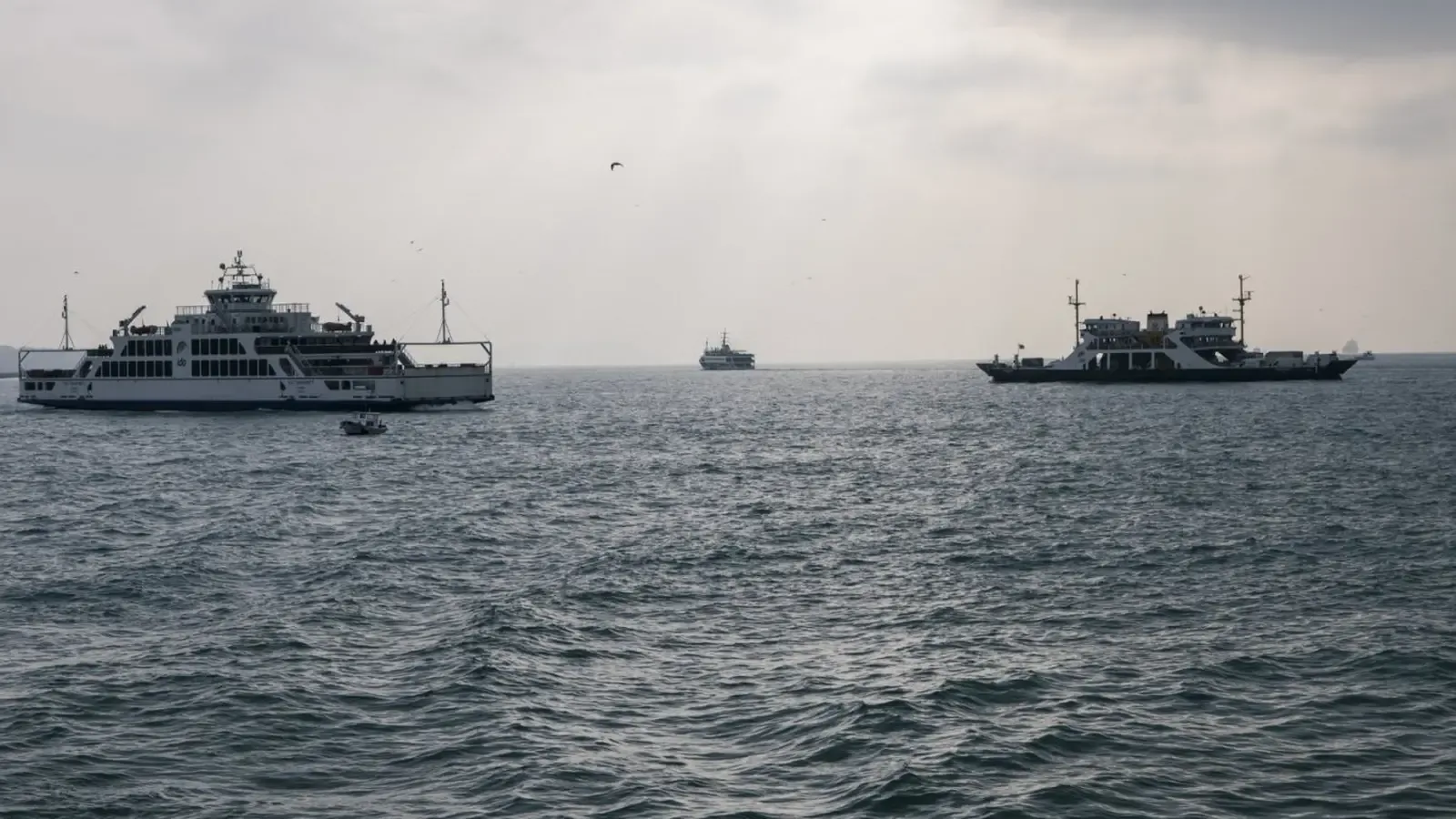 Два турски товарни кораба се сблъскаха в Мраморно море, единият потъна