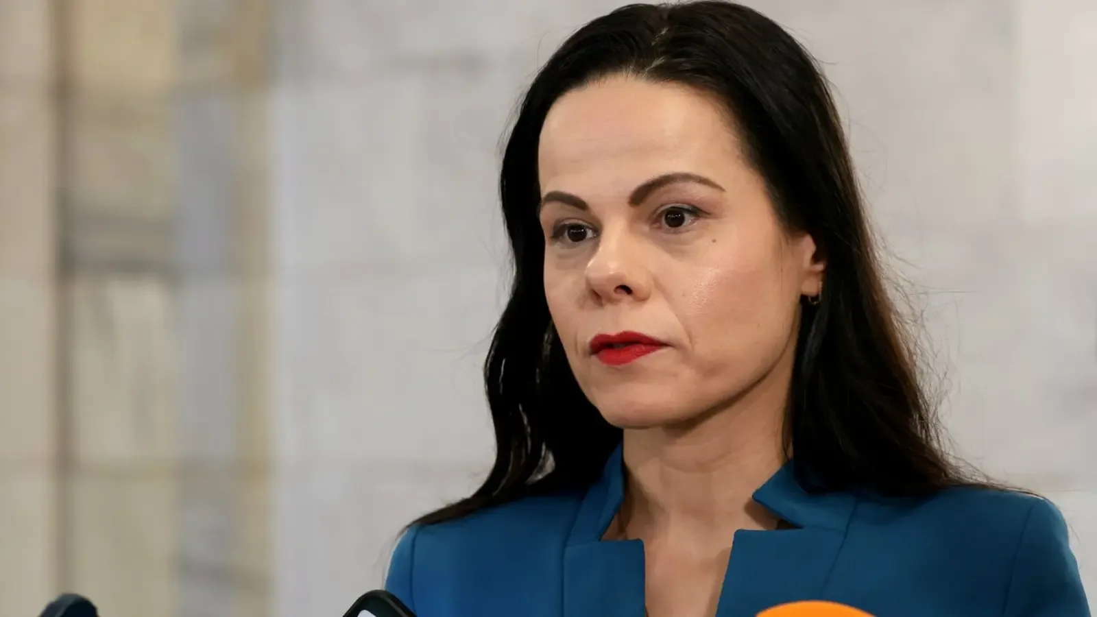 Ивкова: Има сигнал за влияние на Кунчев върху поръчка за комари