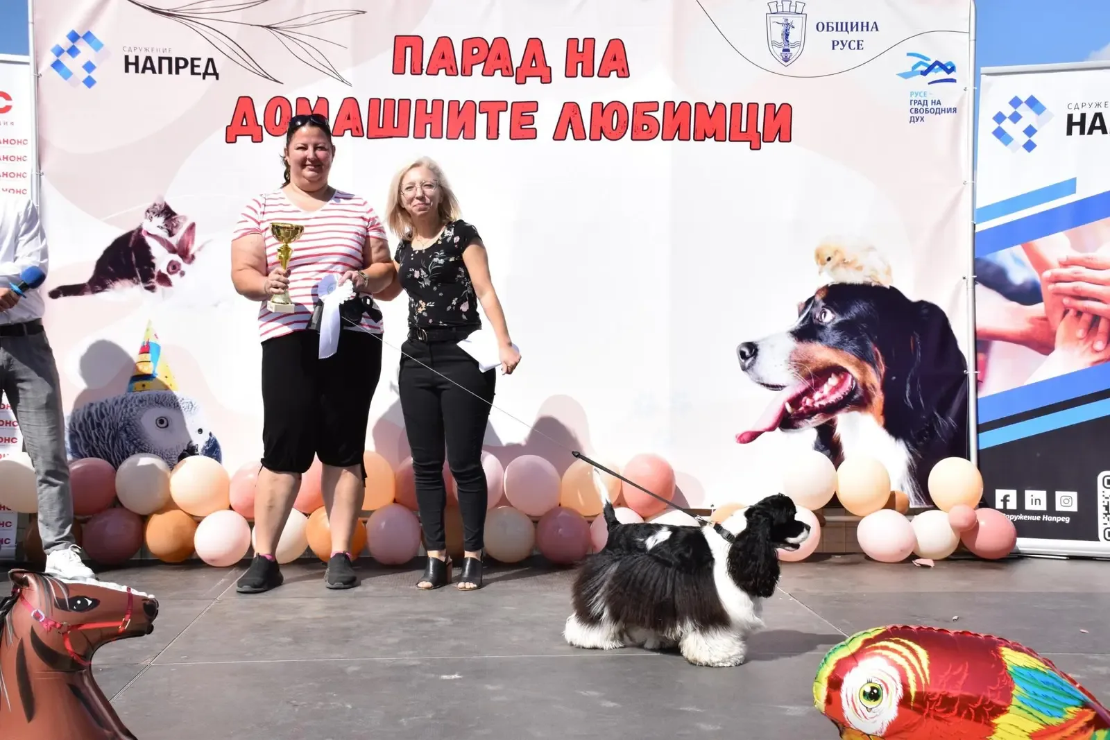 Русе посреща второто издание на "Парад на домашния любимец"