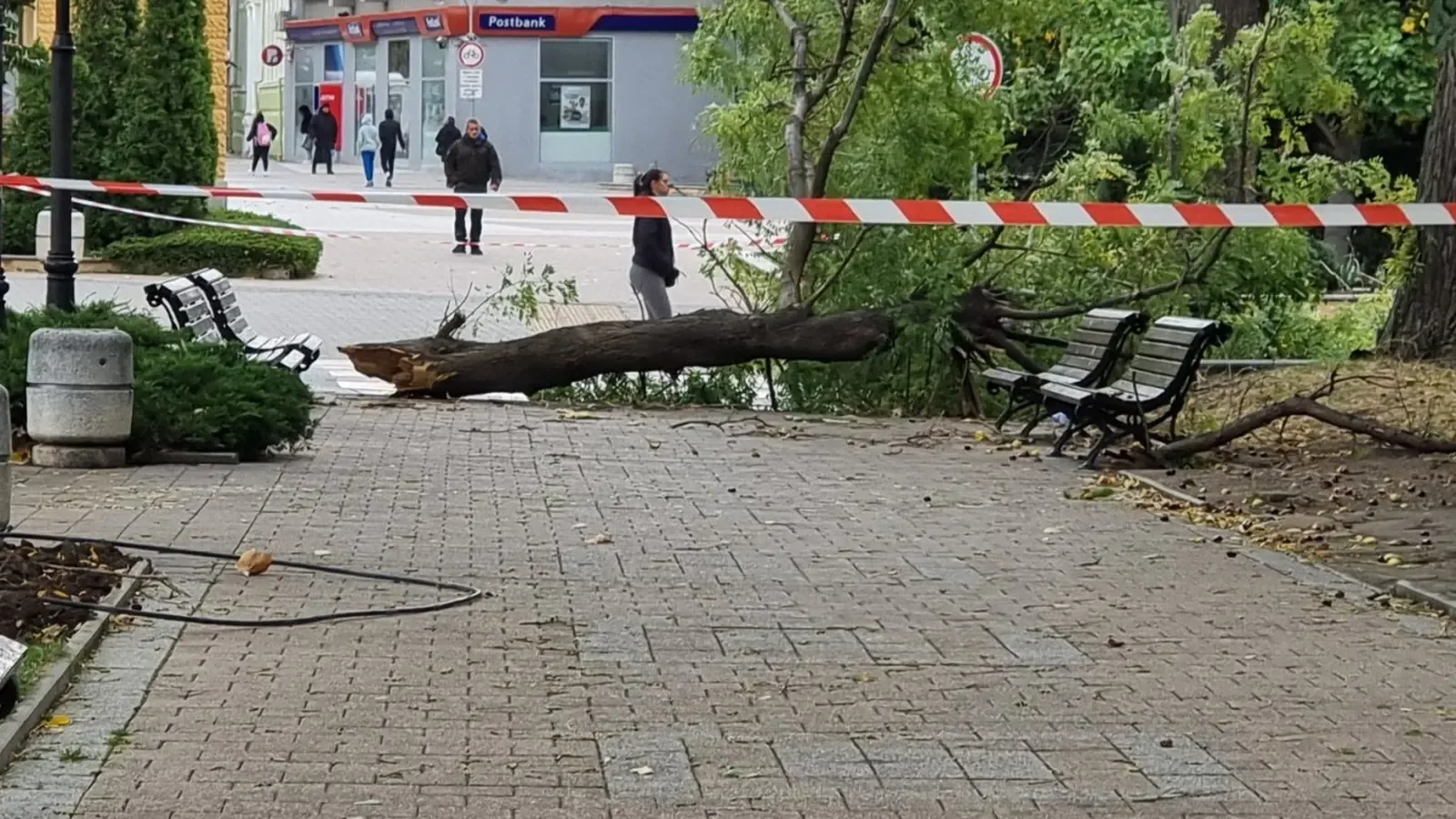 Клон падна върху пешеходец в Сливен, мъжът е с политравма